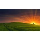 Online Study Group Meeting for Monday (6/28/2021)