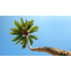 Be In Agreement With Life At All Times