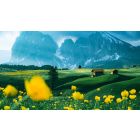 Let Self-Revelation Guide You to the Expansive Life