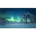 Abandon Your Usual Ways of Thinking