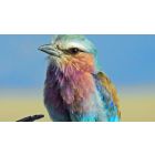 Online Study Group Meeting for Tuesday (6/30/2020)