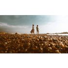 Let Your Relationships Set You Free