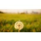 The Right Choice That Keeps You Safe