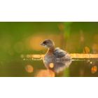 Six Eye-Opening Insights to Start True Self-Healing