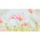 If We Want To Receive Love We Have To Give It