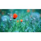 How To Change the Life You're Giving Yourself