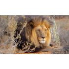 Online Study Group Meeting for Monday (4/8/2019)