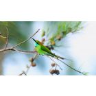 Student Q&A with Guy on "Transform 'Dark' Thoughts into Self-Healing Discoveries" (6/13/21)