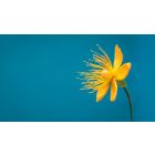 Move from the Mental How into the Spiritual Now