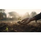 How to Release Yourself from Yourself