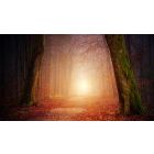 Stop Being Tricked by These Two Words!