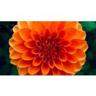 Move from the Mental How into the Spiritual Now