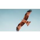 The Power and Promise of Divine Reconciliation