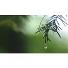 Agree to Let Go of Useless Suffering