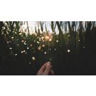 Let True Purpose Renew Your Life