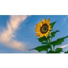 How Self-Discovery Changes Your Relationships