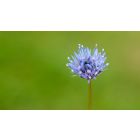 Discover the Power of Self-Awareness