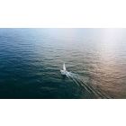 Free Yourself from the House of Stress