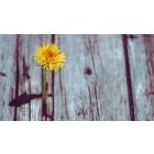 The Power to Dismiss the Darkness Knocking at Your Door