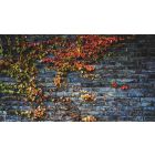 The Unthinkable Ground of a New Order of Self