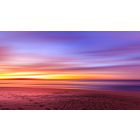 Make This Wish and Start Growing