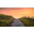 A Higher Lesson in Letting Go and Letting God