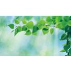 Move from the Mental How into the Spiritual Now