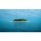 Move from the Mental How into the Spiritual Now