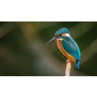 Move from the Mental How into the Spiritual Now