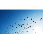 How to Free Yourself From Any Fear... No Matter What!