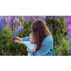 Find the One True Answer to Any Painful Question