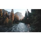 How to Cross Over the River of Dark, Painful Dreams