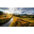 Practice Living in the Presence Moment