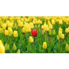 Online Study Group Meeting for Monday (2/12/2024)