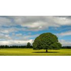 Love is the Perfect Self-Purifier