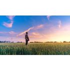 The Wisdom You Need to Surrender Useless Suffering