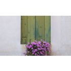 The Gift of Being Made New