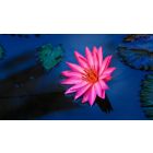 Move from the Mental How into the Spiritual Now