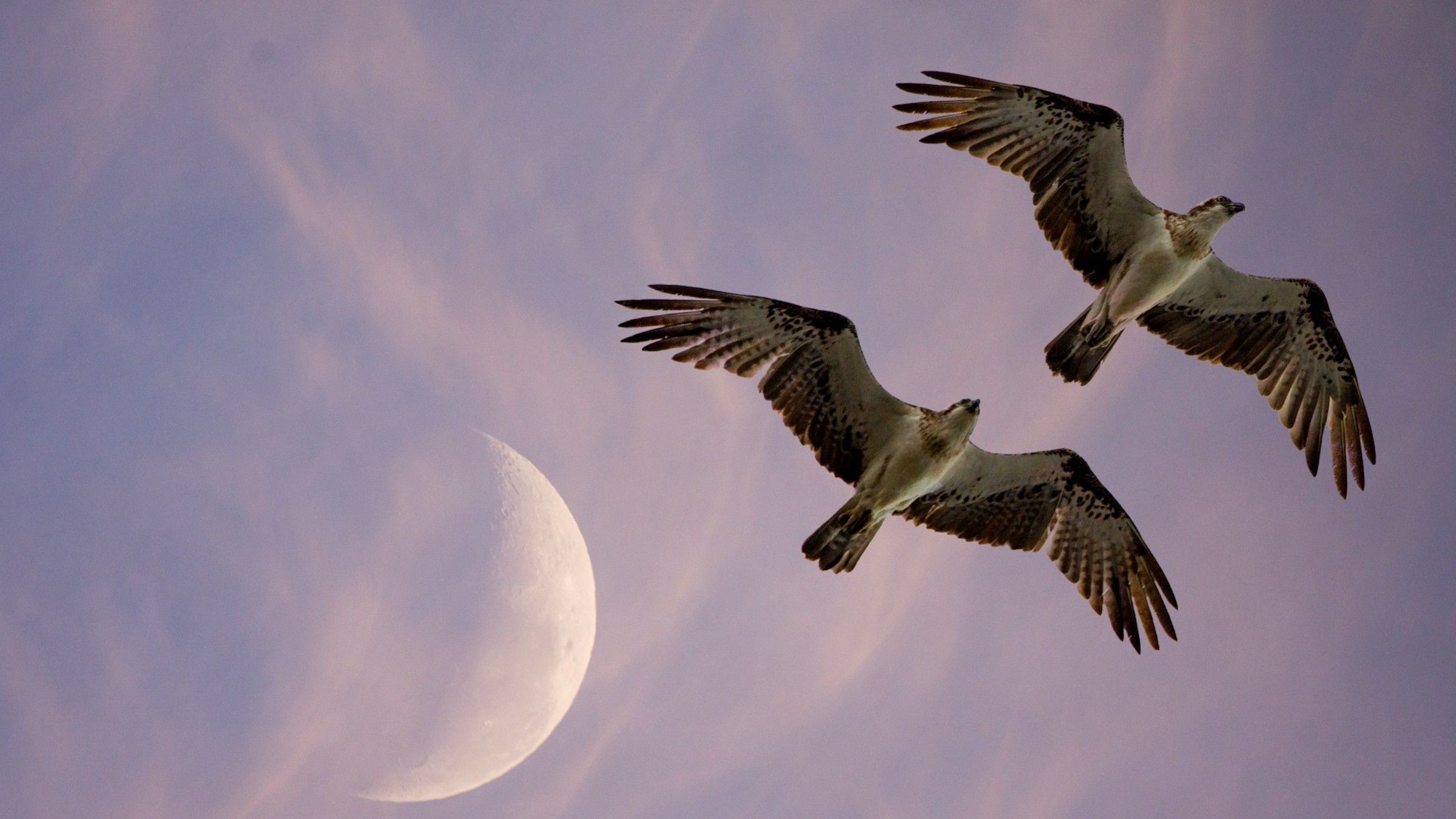 The Truth about Co-Dependency and Its Unimaginable Dark Secret