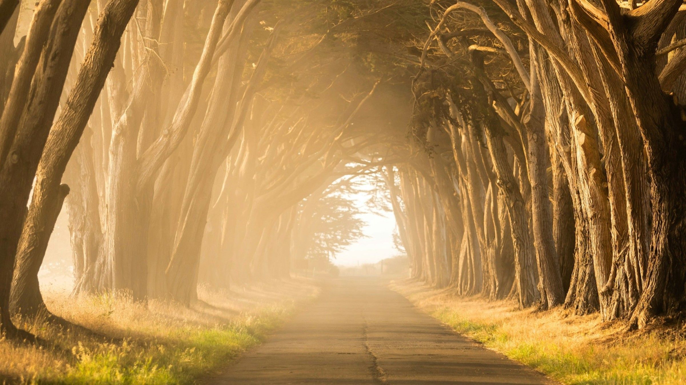 The Secret Path to Being at Peace with Yourself
