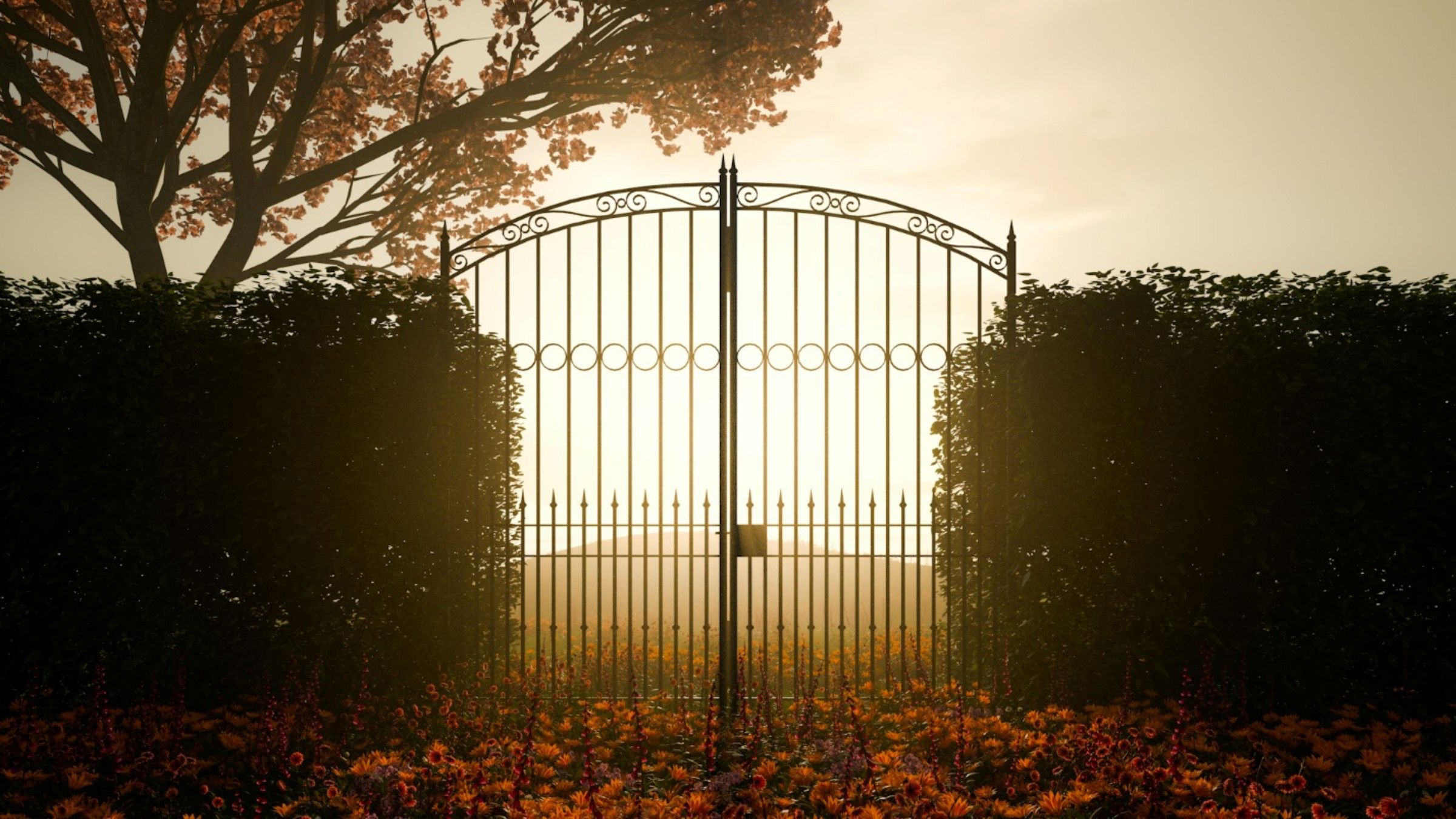 The Narrow Gate that Opens into a World of Living Light
