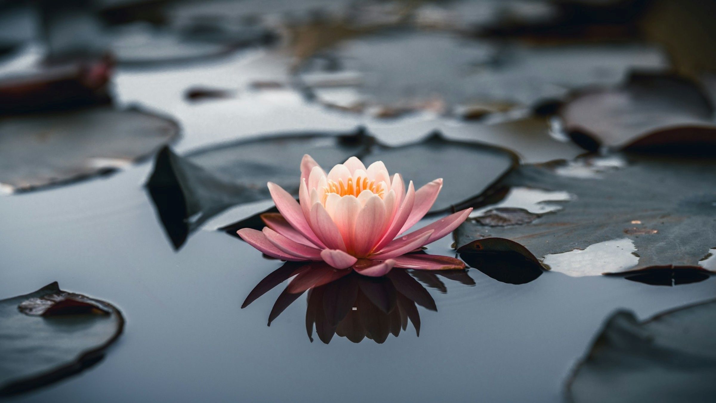 Find the True Center of Yourself and Stop Struggling to Control Life