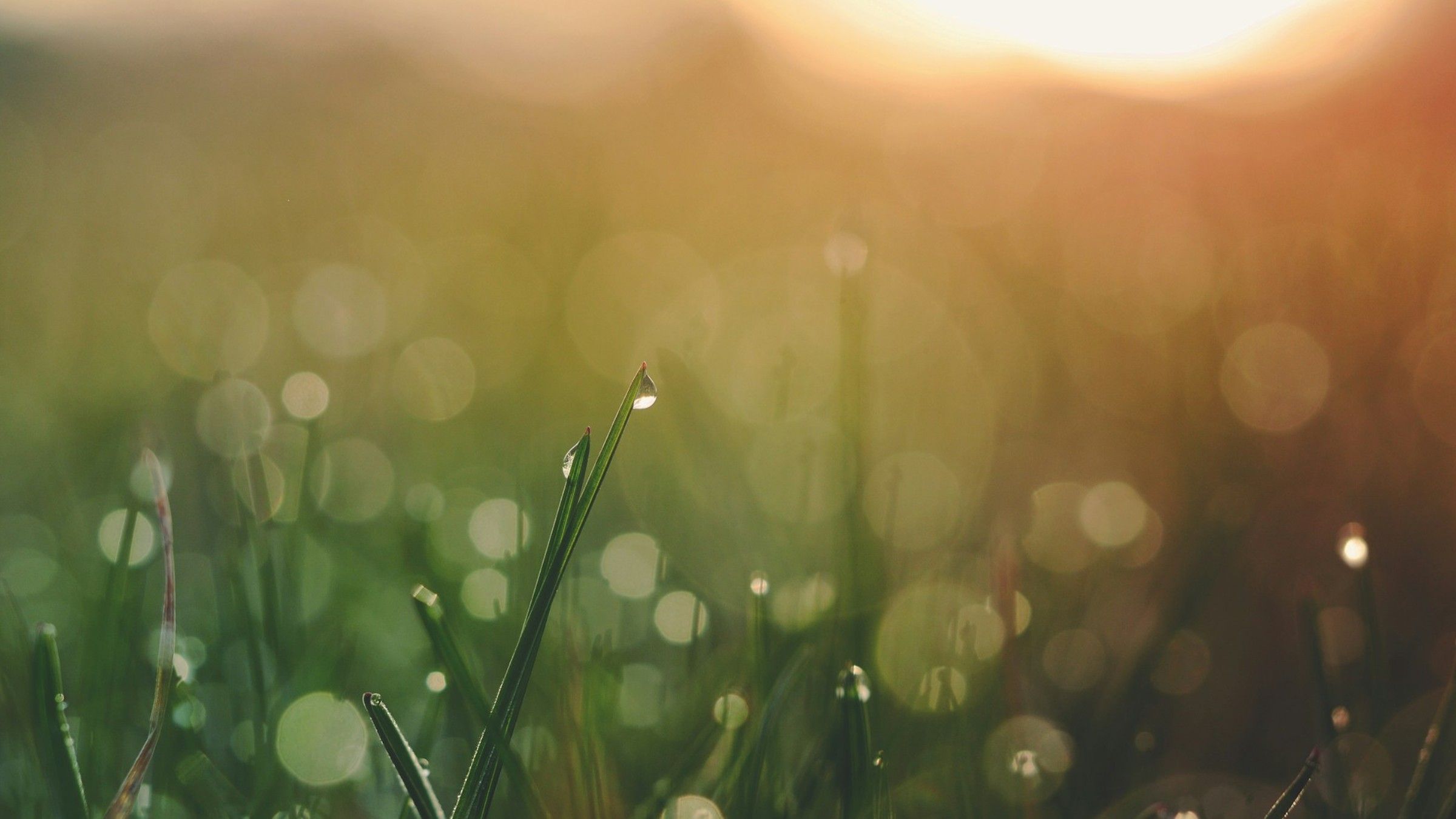 One Thing You Must Stop Doing Before You Can Start Awakening Your True Self