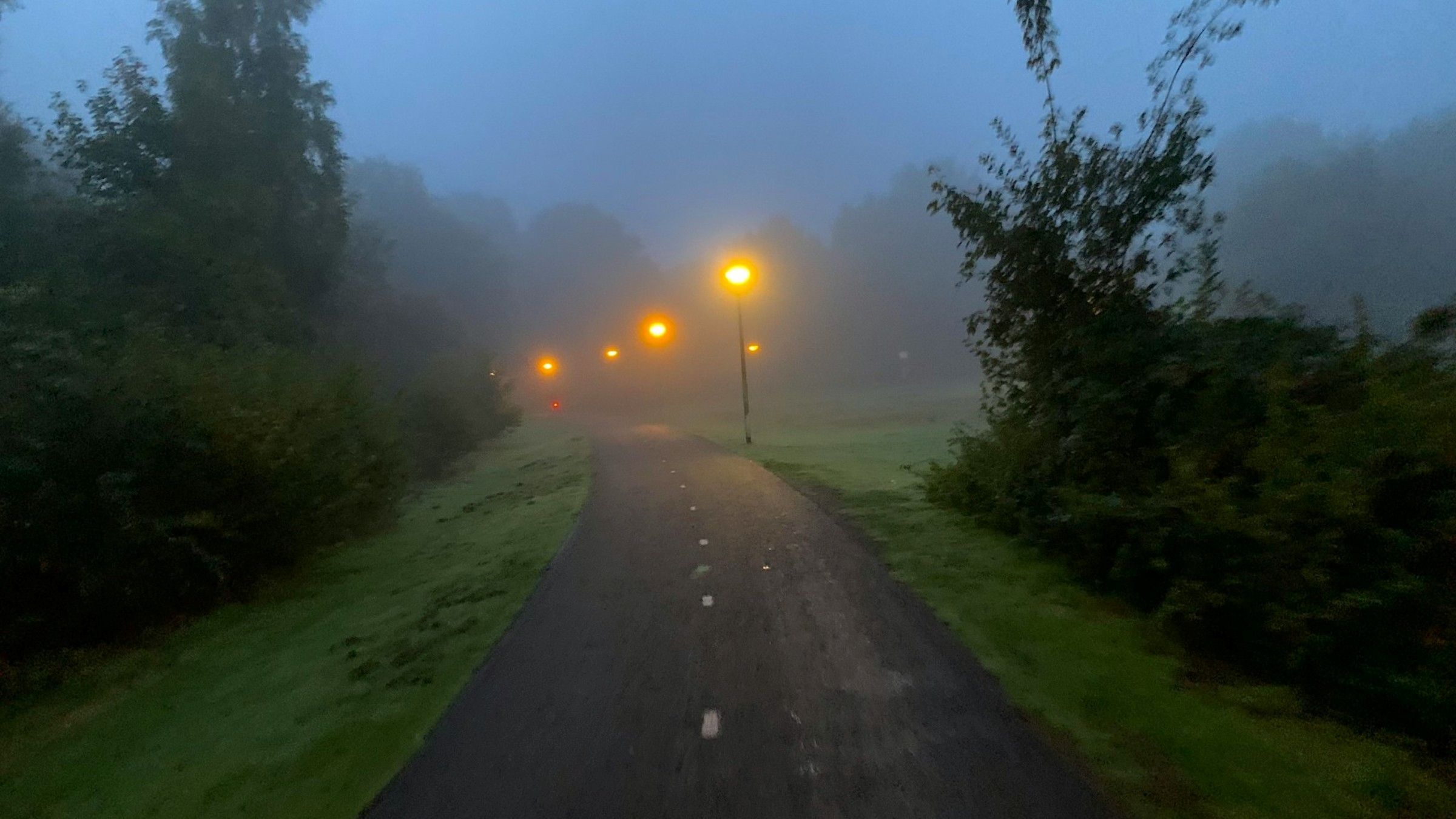 Lights Along the Way to a World without Worry, Anger, or Fear