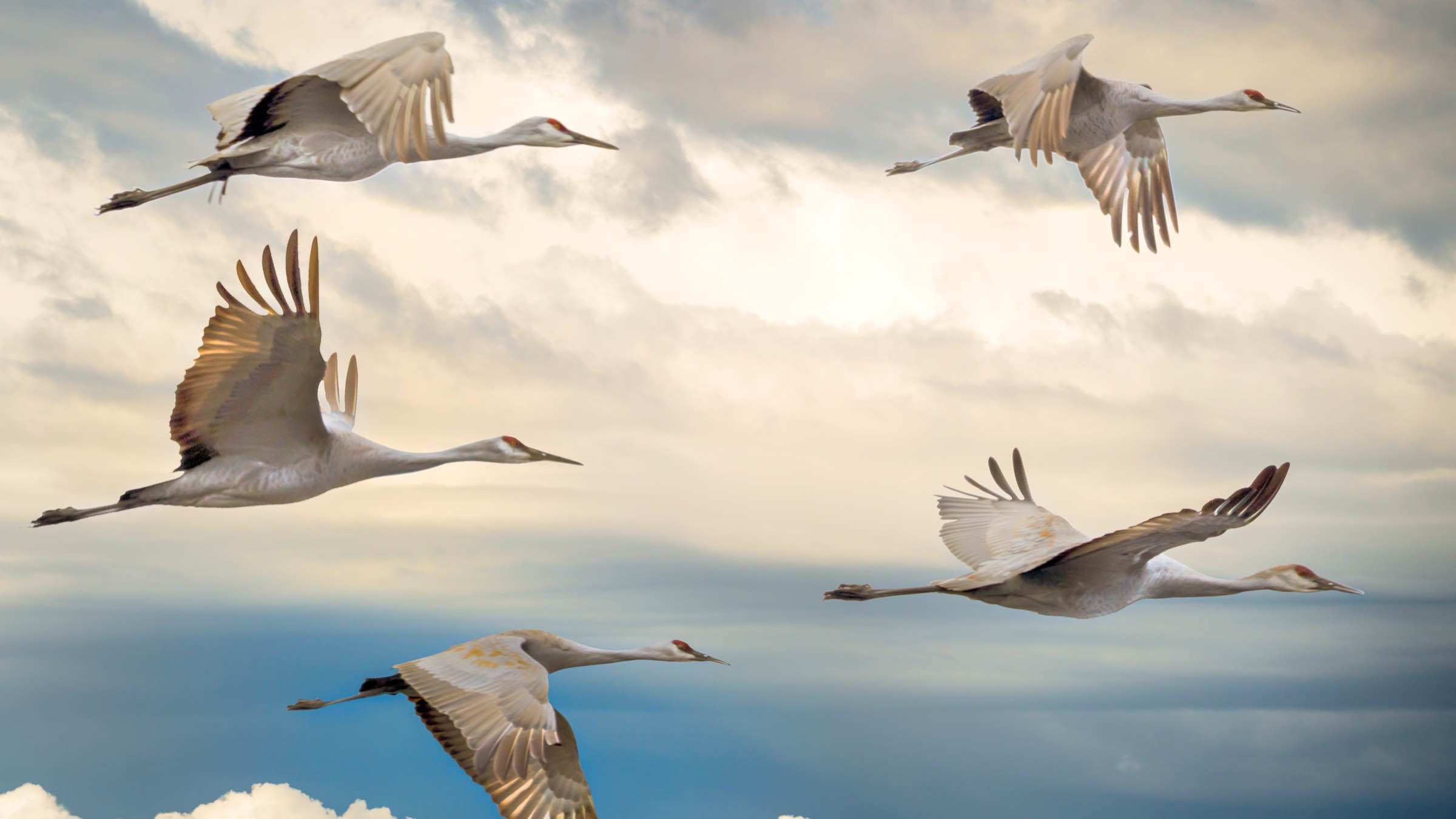 5 Heavenly Friends to Help You Reach New Spiritual Heights