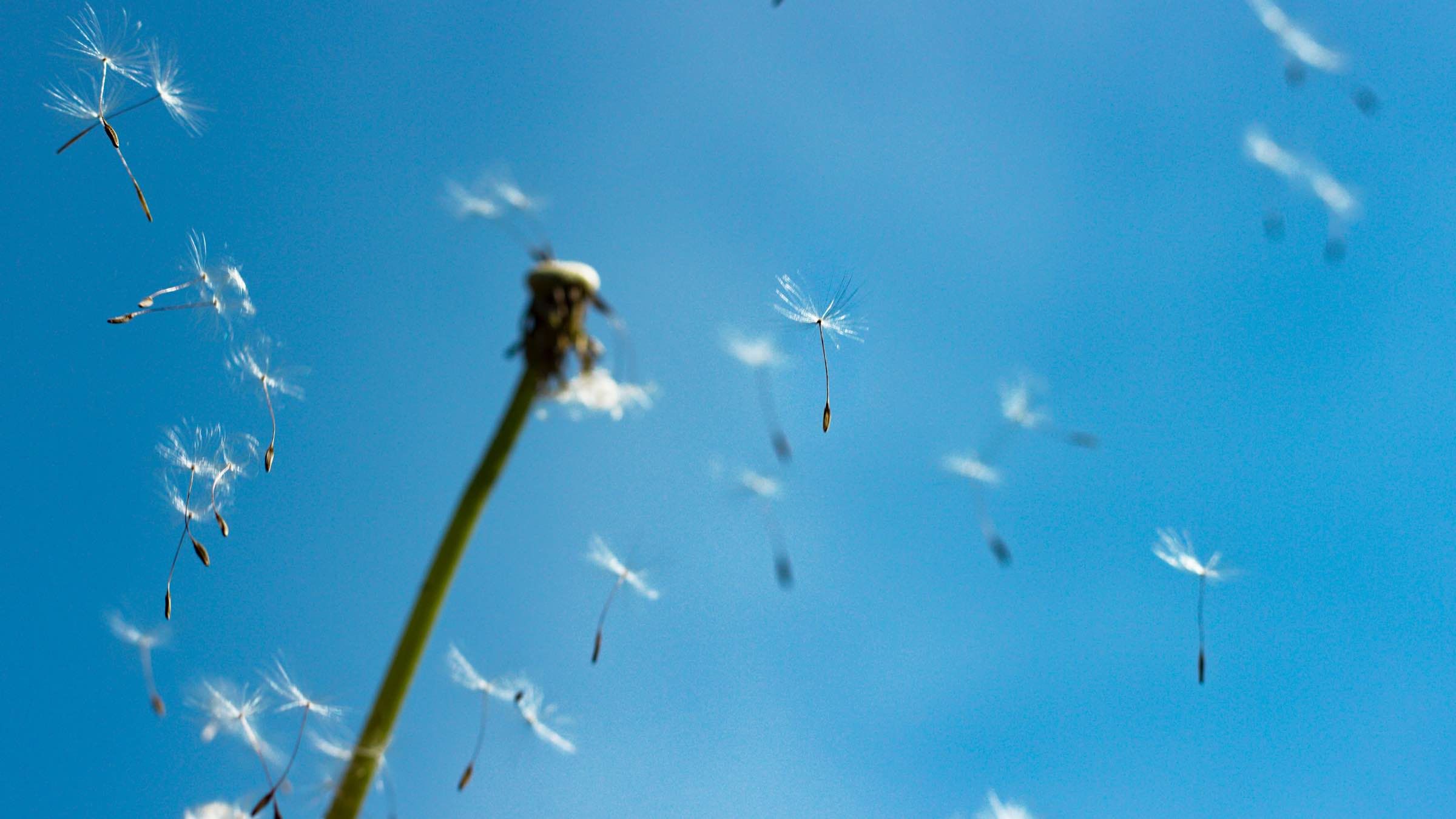 A Crucial Lesson in Letting Go of Negative Reactions