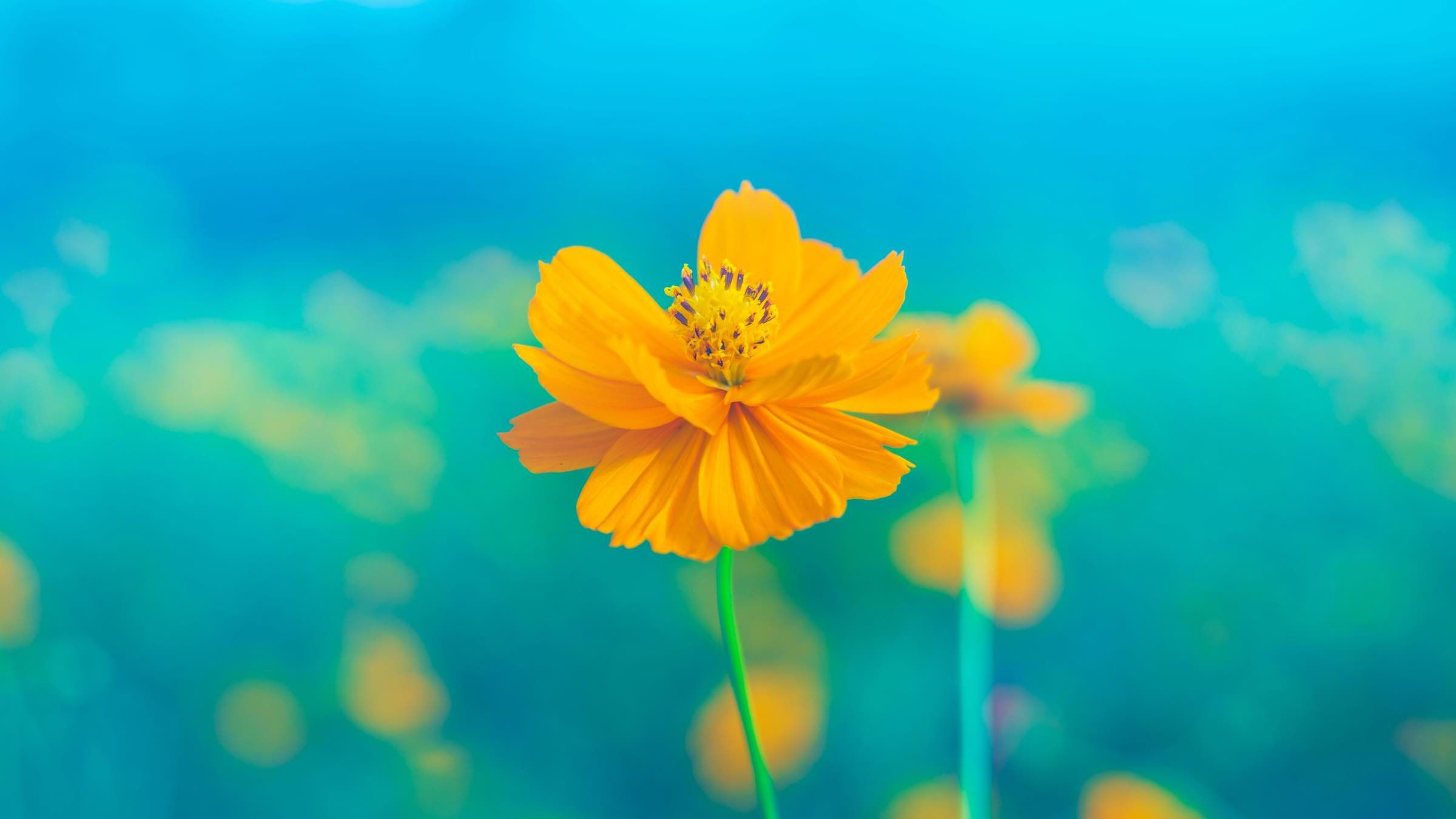 The Aim of All True Spiritual Teachings
