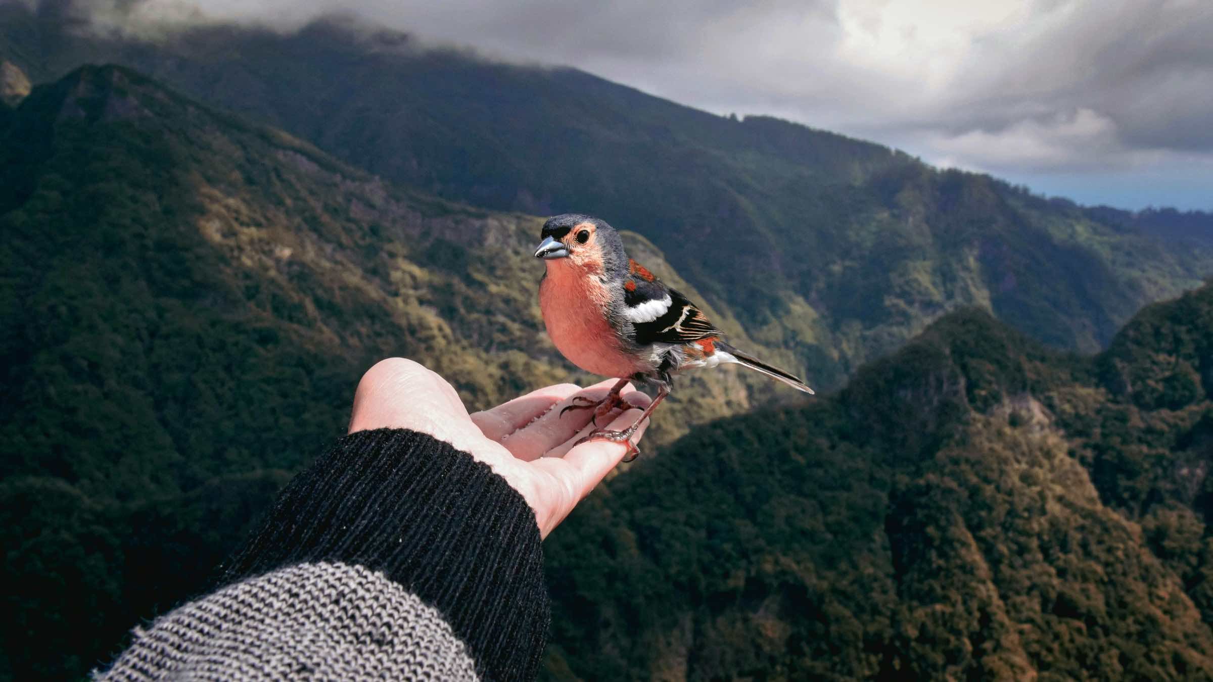 The Secret of Letting Go: How to Drop Fear, Worries, and Painful Regrets