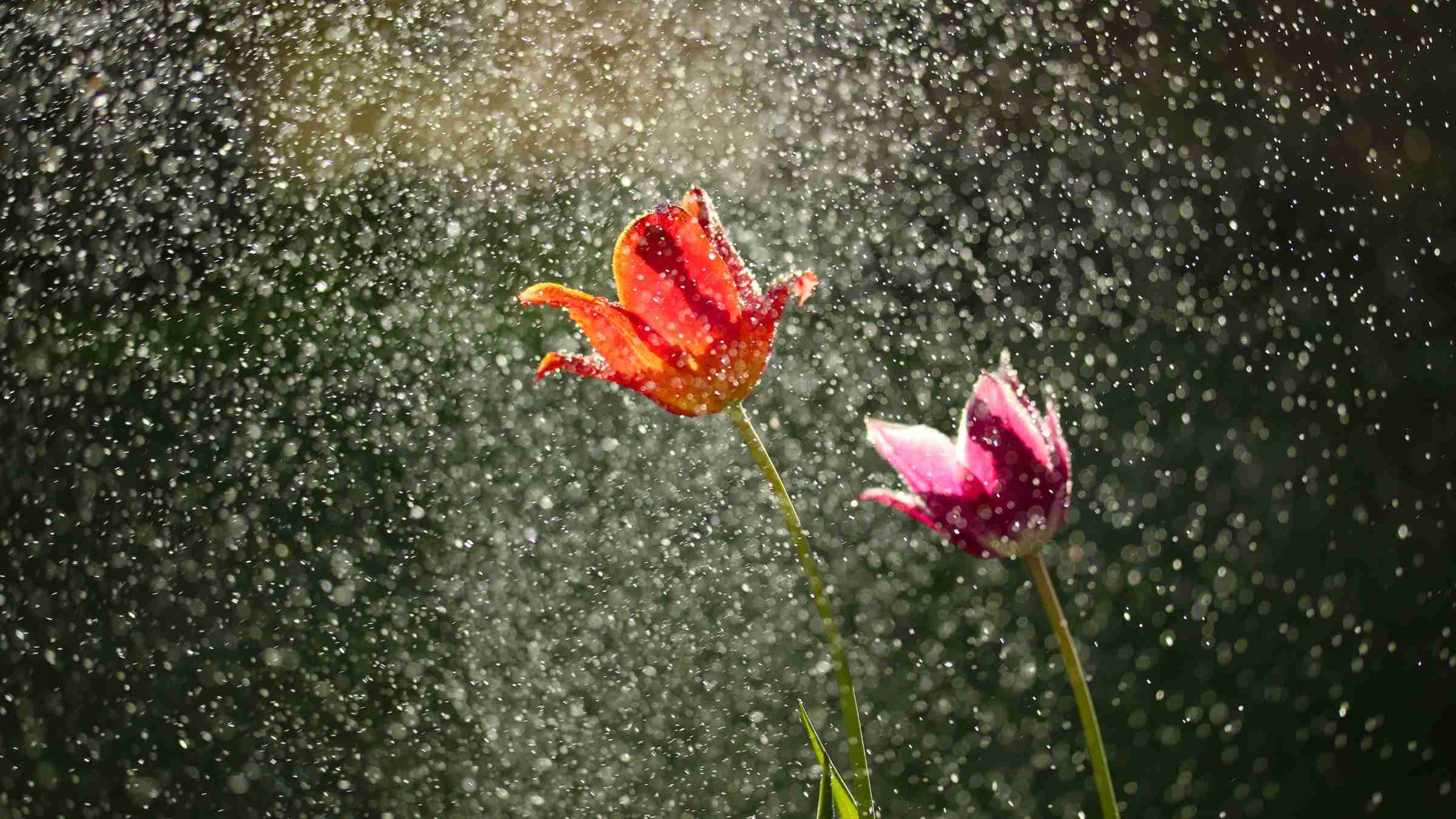 Transform the Fear of Feeling Empty into Freedom from Fear