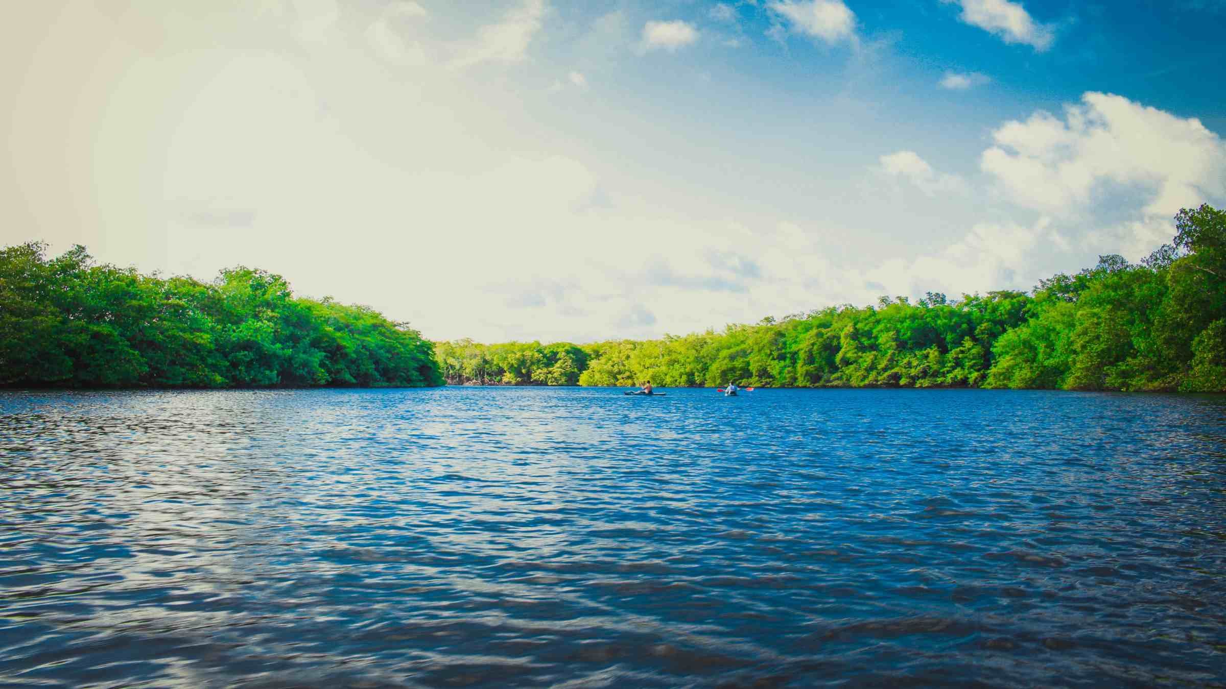 How to Put Your Life in Perfect Order Once and for All